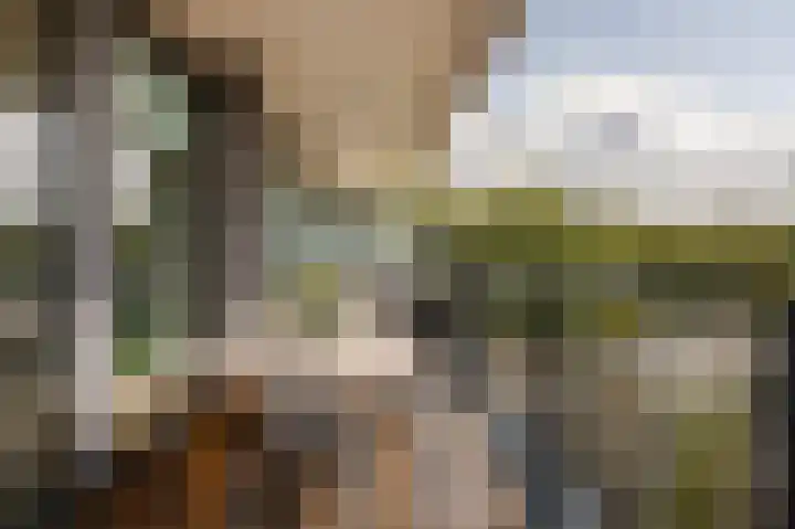 Stadhoudersplantsoen 2 L Den Haag thumbnail 26