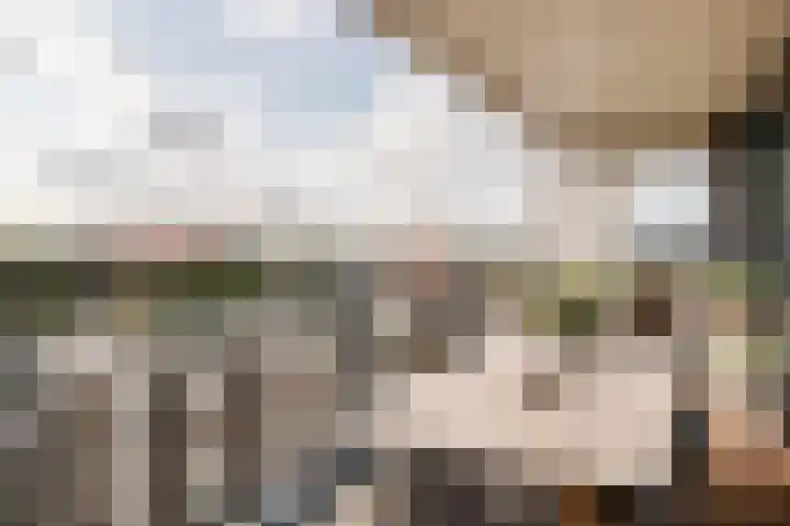 Stadhoudersplantsoen 2 L Den Haag thumbnail 27