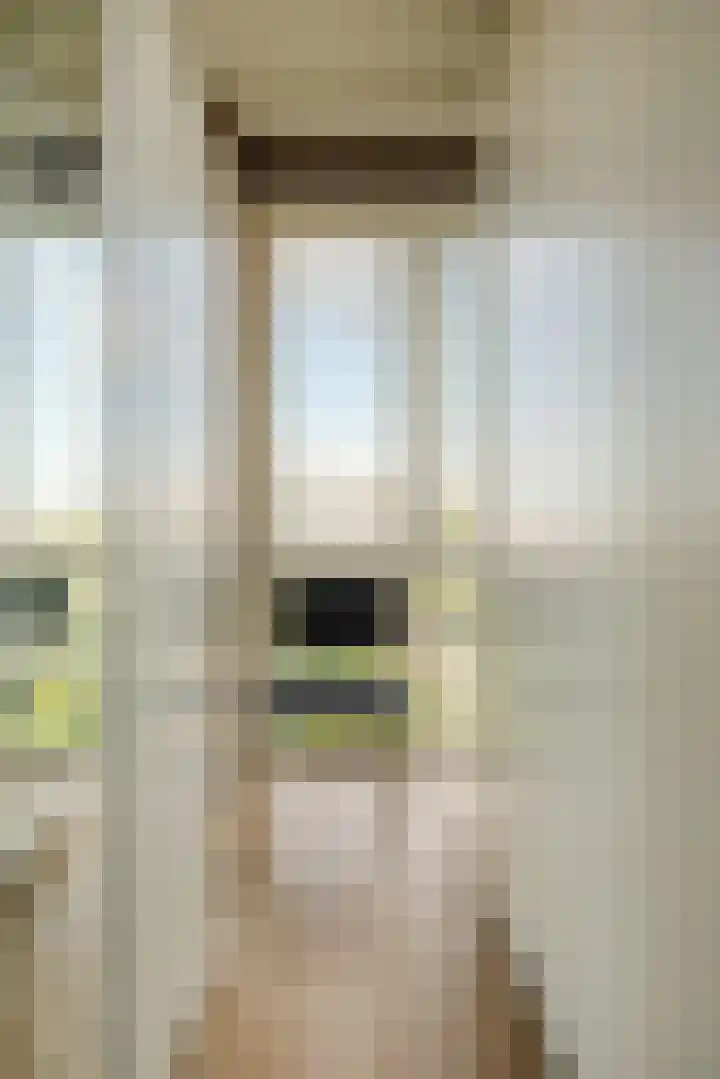 Stadhoudersplantsoen 2 L Den Haag thumbnail 38