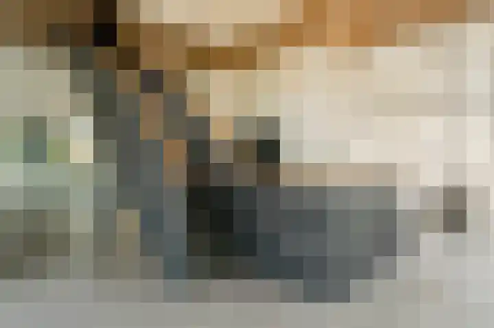 Stadhoudersplantsoen 2 L Den Haag thumbnail 8