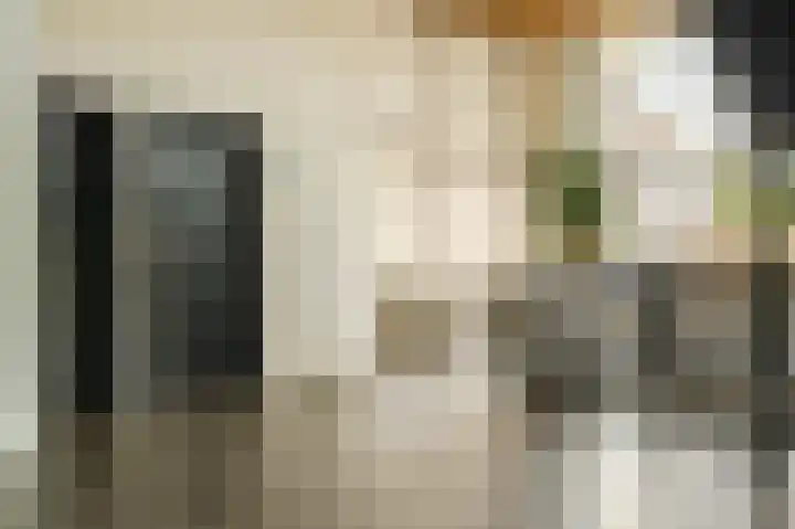 Stadhoudersplantsoen 2 L Den Haag thumbnail 9