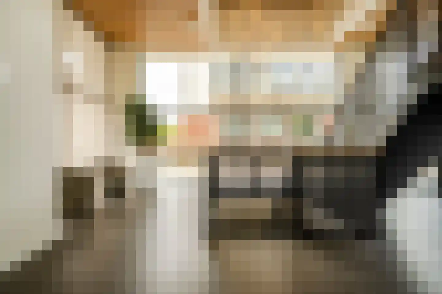 Stadhoudersplantsoen 2 V Den Haag thumbnail 10