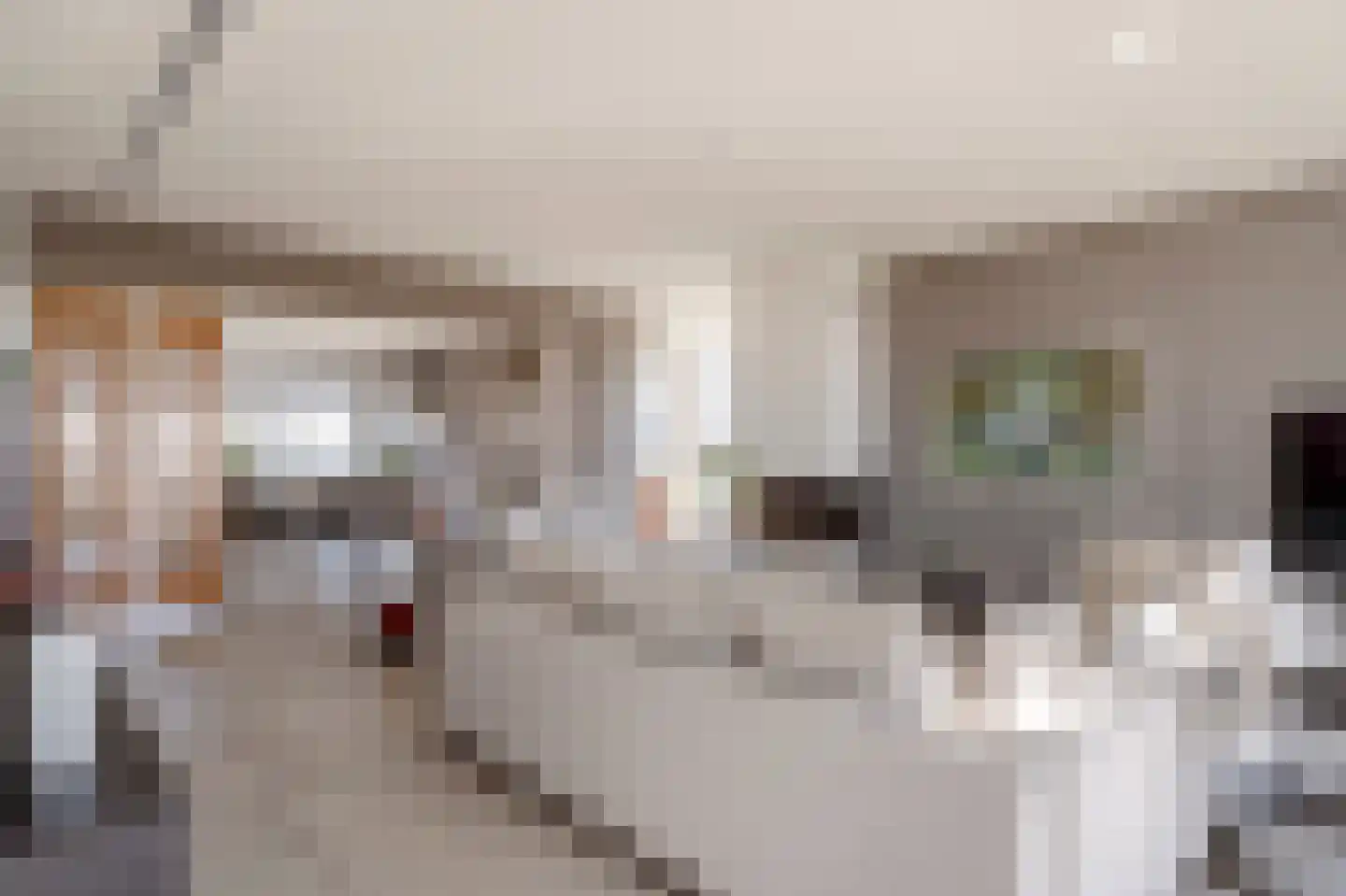 Stadhoudersplantsoen 2 V Den Haag thumbnail 18