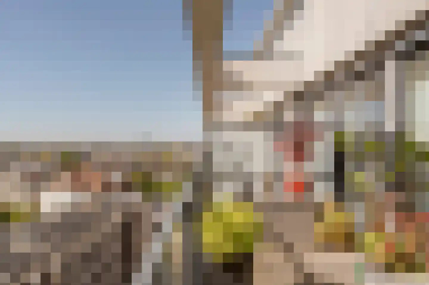 Stadhoudersplantsoen 2 V Den Haag thumbnail 26