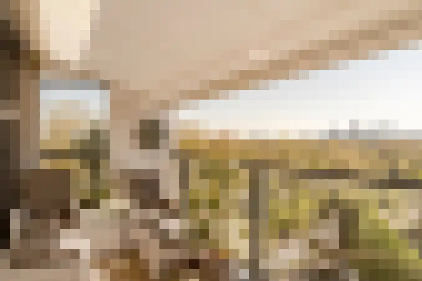 Stadhoudersplantsoen 2 V Den Haag thumbnail 27