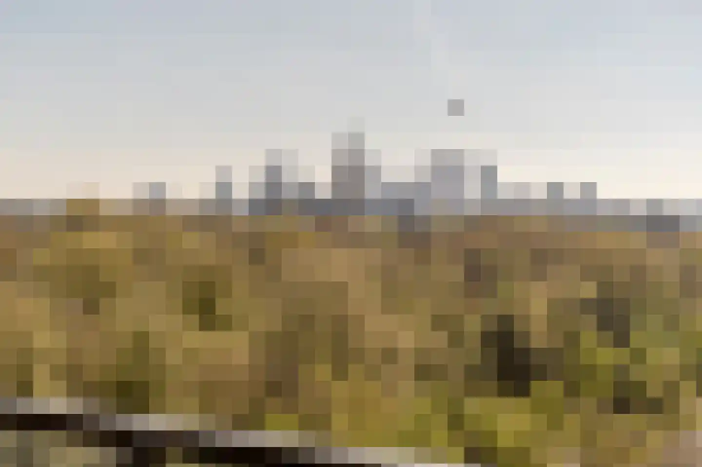 Stadhoudersplantsoen 2 V Den Haag thumbnail 28