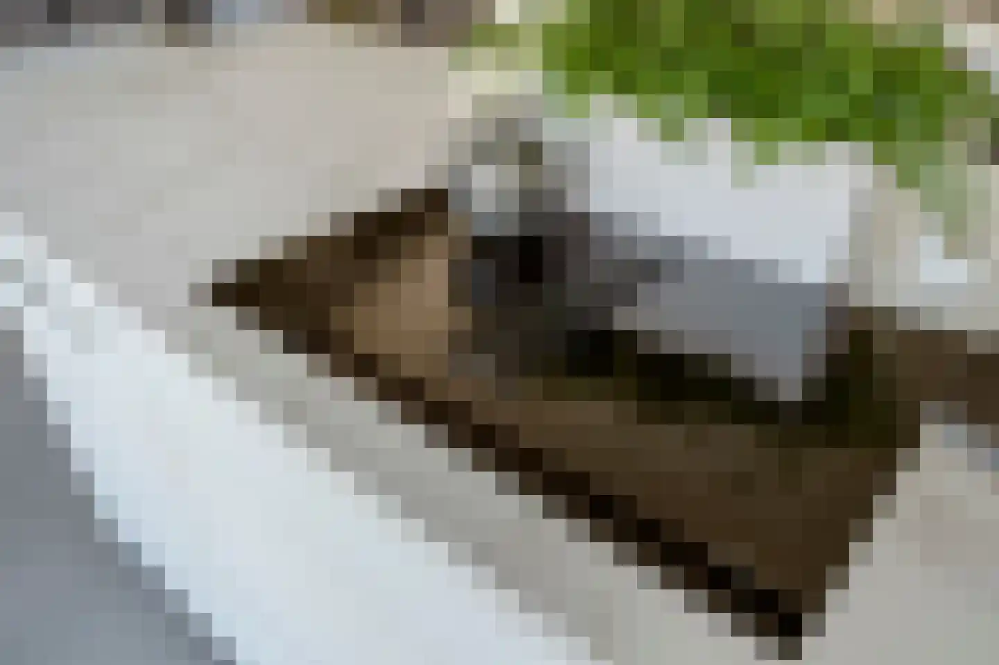 Stadhoudersplantsoen 2 V Den Haag thumbnail 34