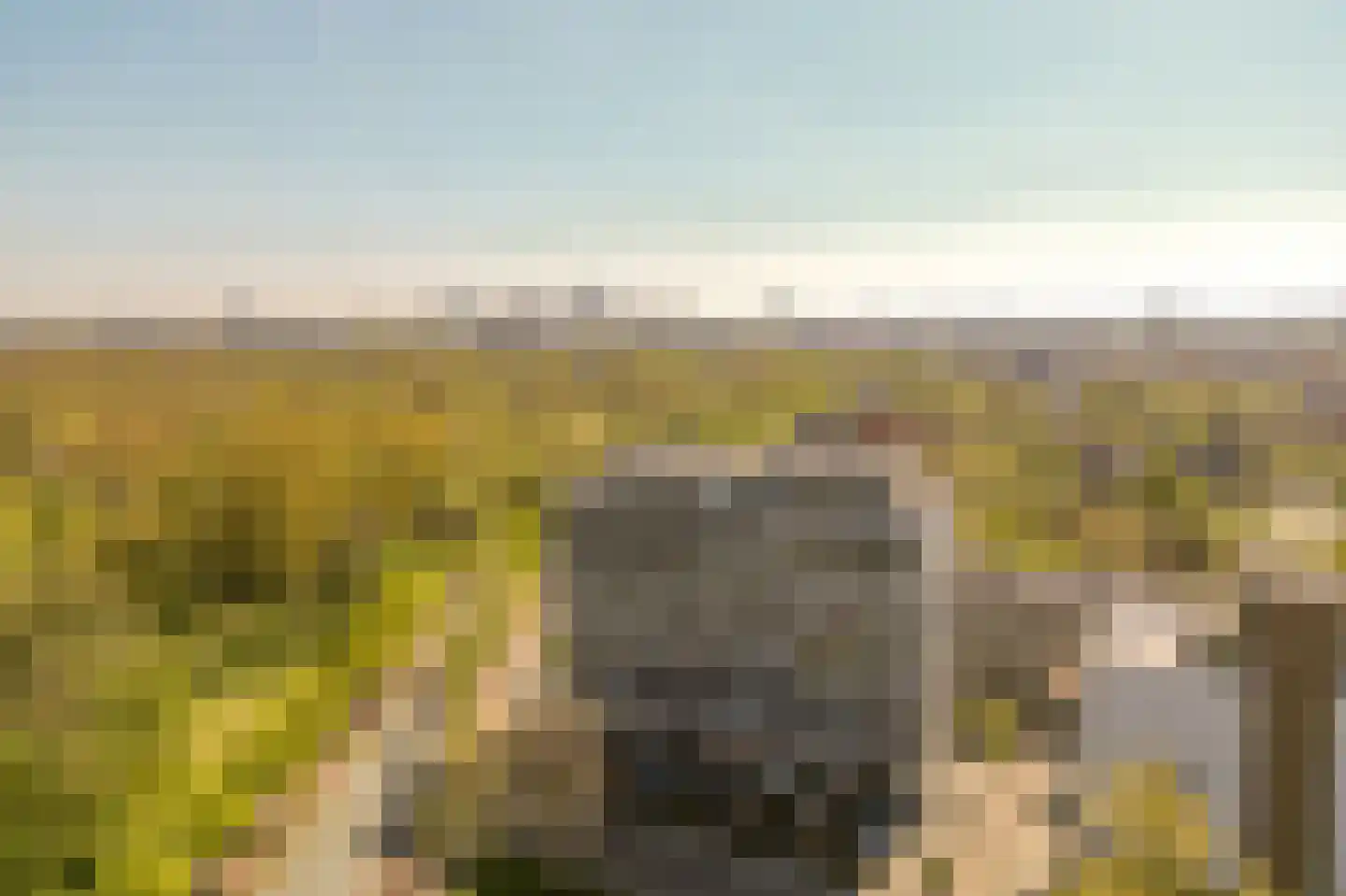 Stadhoudersplantsoen 2 V Den Haag thumbnail 4