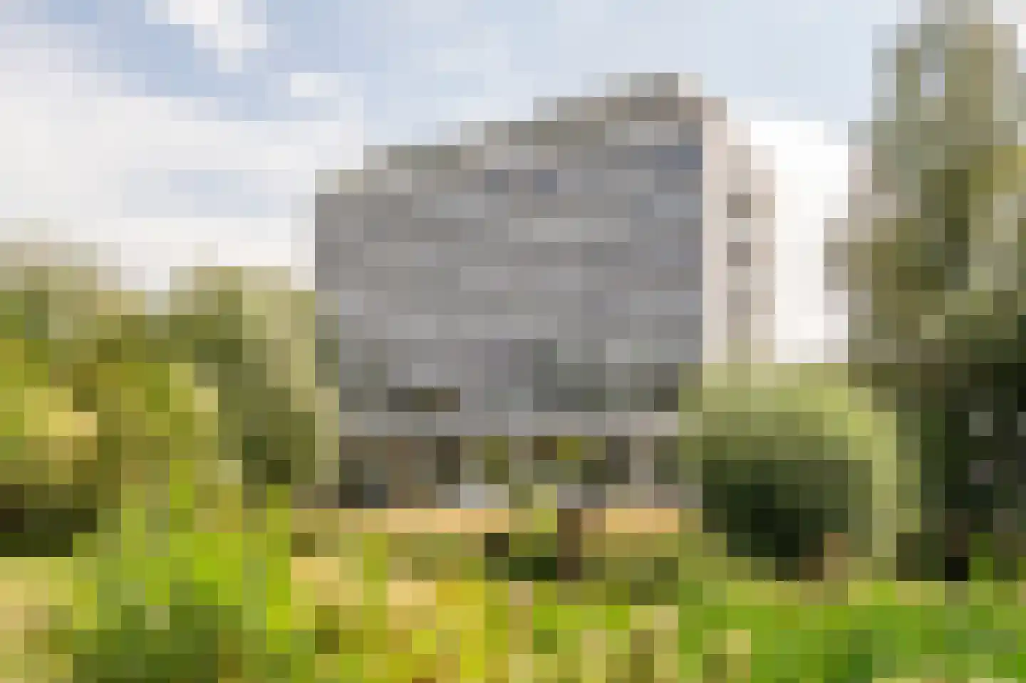 Stadhoudersplantsoen 2 V Den Haag thumbnail 5