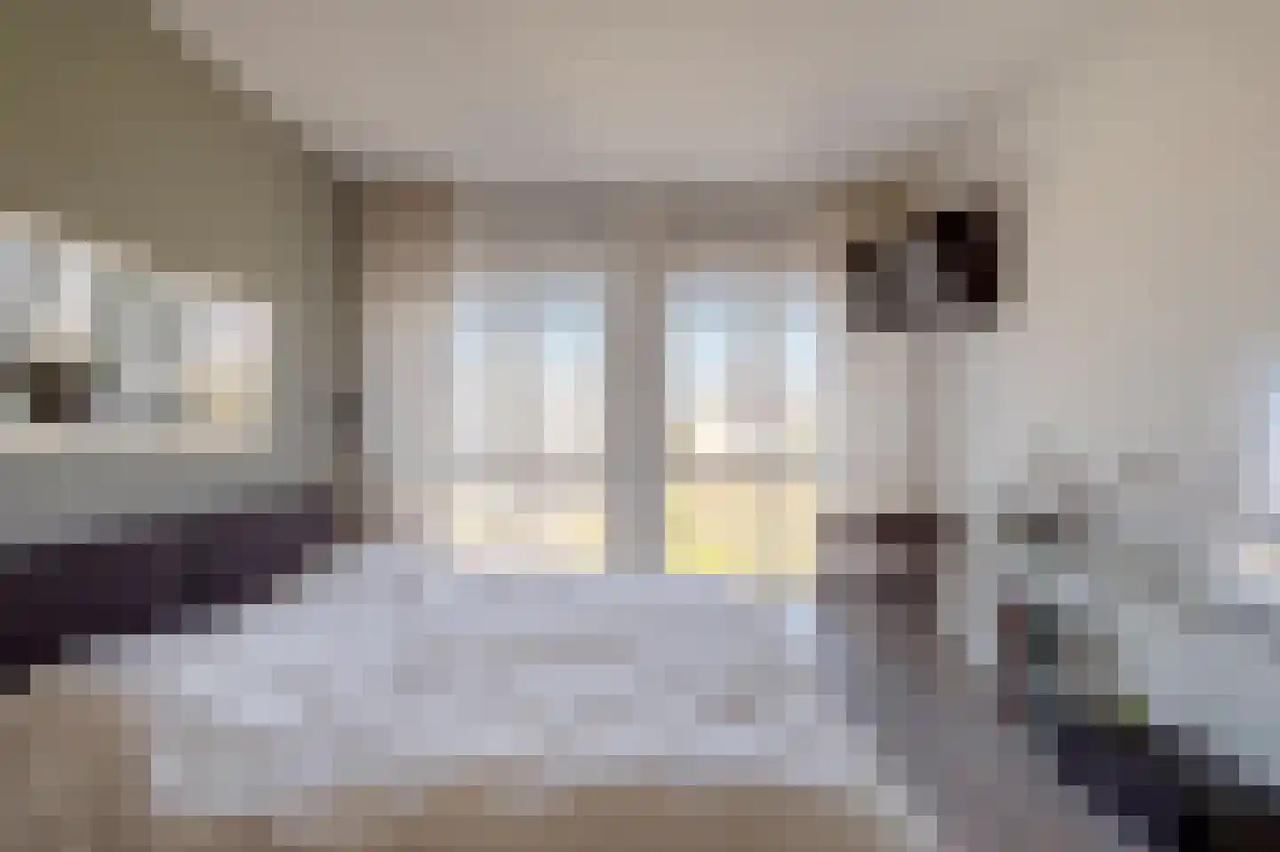 Stadhoudersplantsoen 2 V Den Haag thumbnail 53