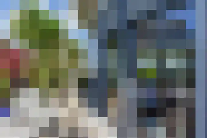 Stadhoudersplantsoen 20 B Den Haag thumbnail 14