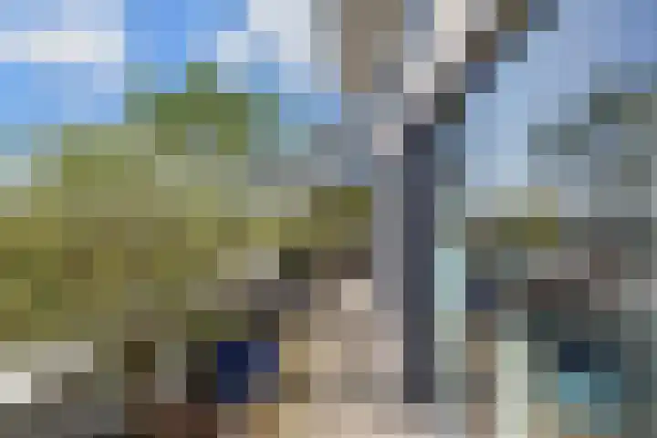 Stadhoudersplantsoen 20 B Den Haag thumbnail 15