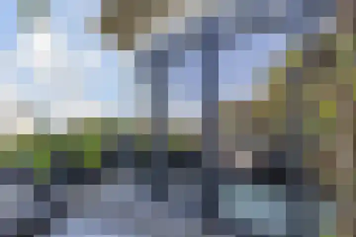 Stadhoudersplantsoen 20 B Den Haag thumbnail 25
