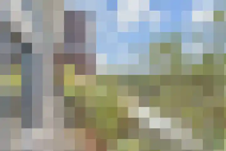 Stadhoudersplantsoen 20 B Den Haag thumbnail 35