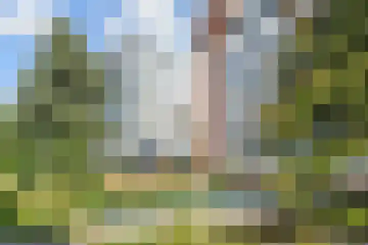 Stadhoudersplantsoen 20 B Den Haag thumbnail 60