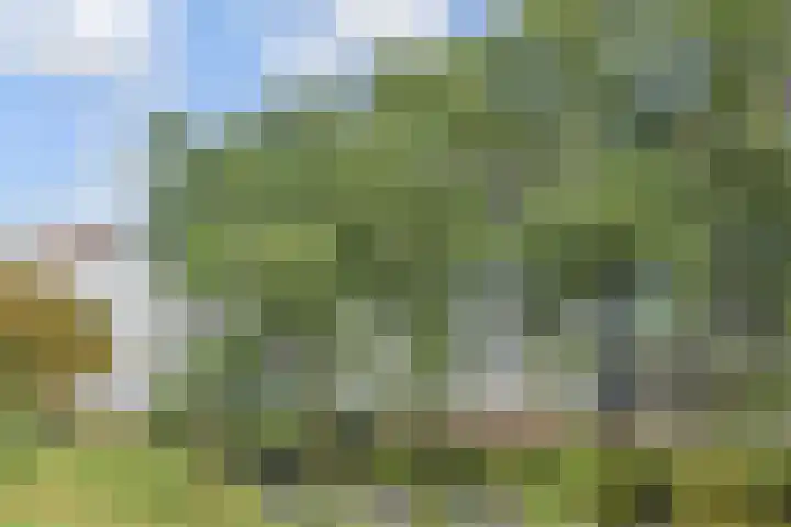 Stadhoudersplantsoen 20 B Den Haag thumbnail 63