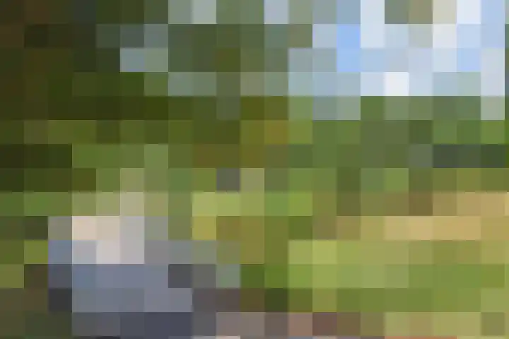 Stadhoudersplantsoen 20 B Den Haag thumbnail 64