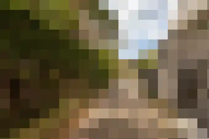 Stadhoudersplantsoen 22 B Den Haag thumbnail 19