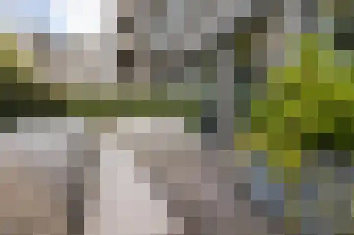Stadhoudersplantsoen 22 B Den Haag thumbnail 30