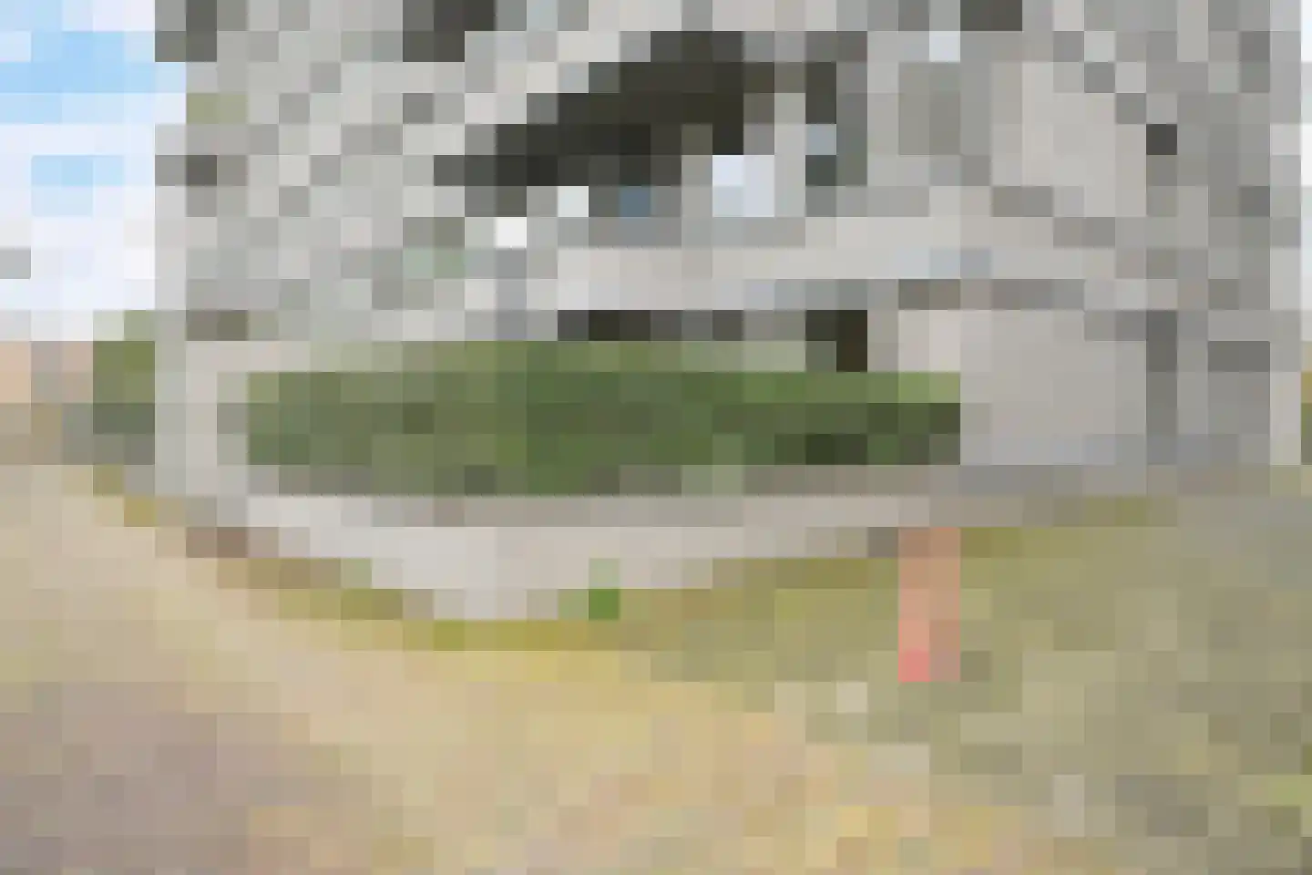 Stadhoudersplantsoen 22 Den Haag thumbnail 34