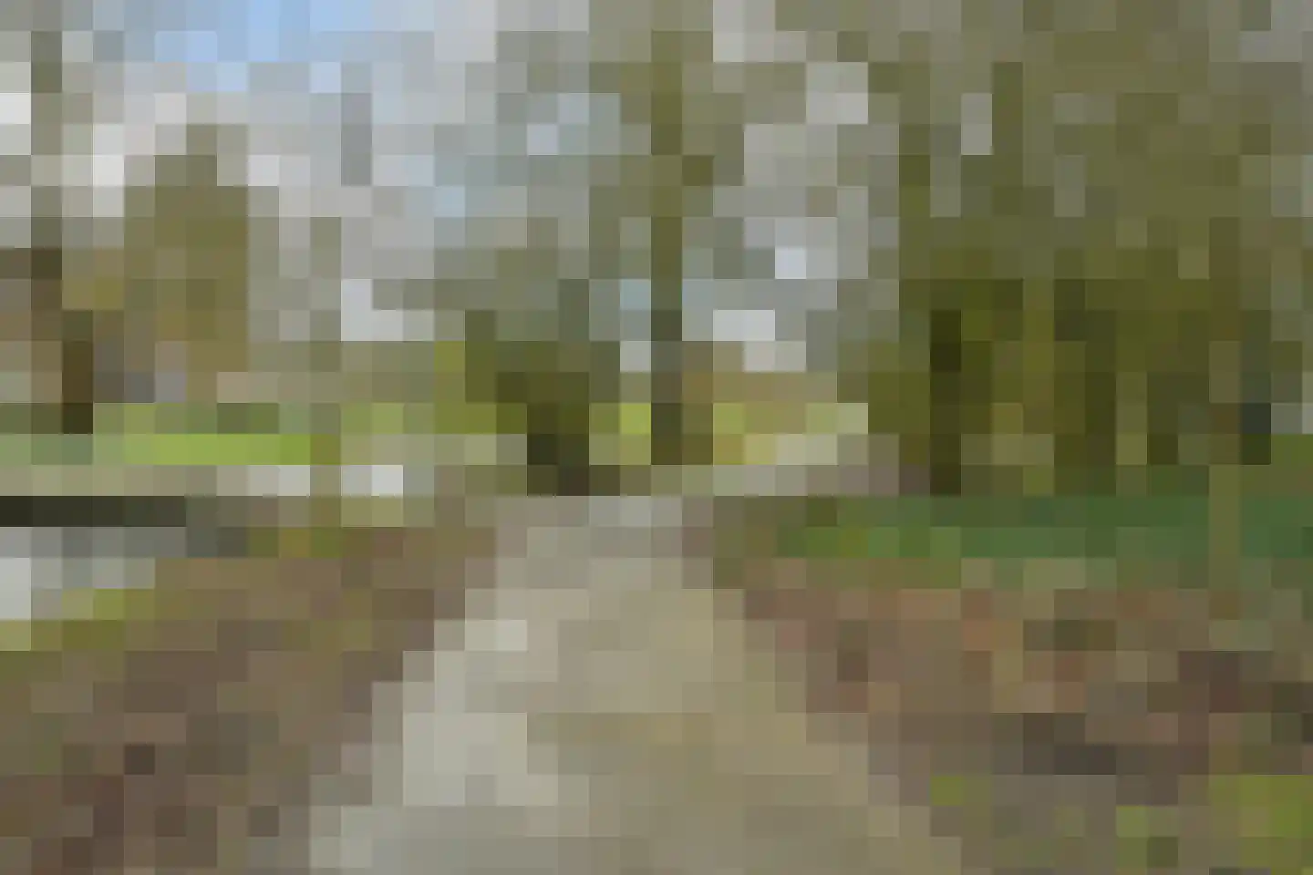 Stadhoudersplantsoen 22 Den Haag thumbnail 39