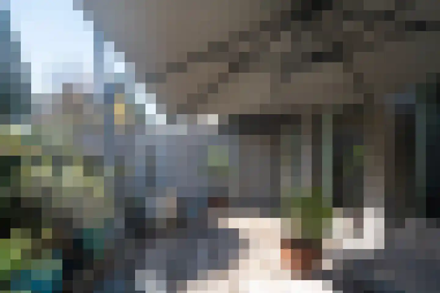 Stadhoudersplantsoen 22 Den Haag thumbnail 4
