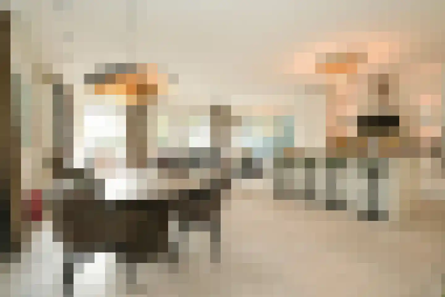 Stadhoudersplantsoen 22 Den Haag thumbnail 5