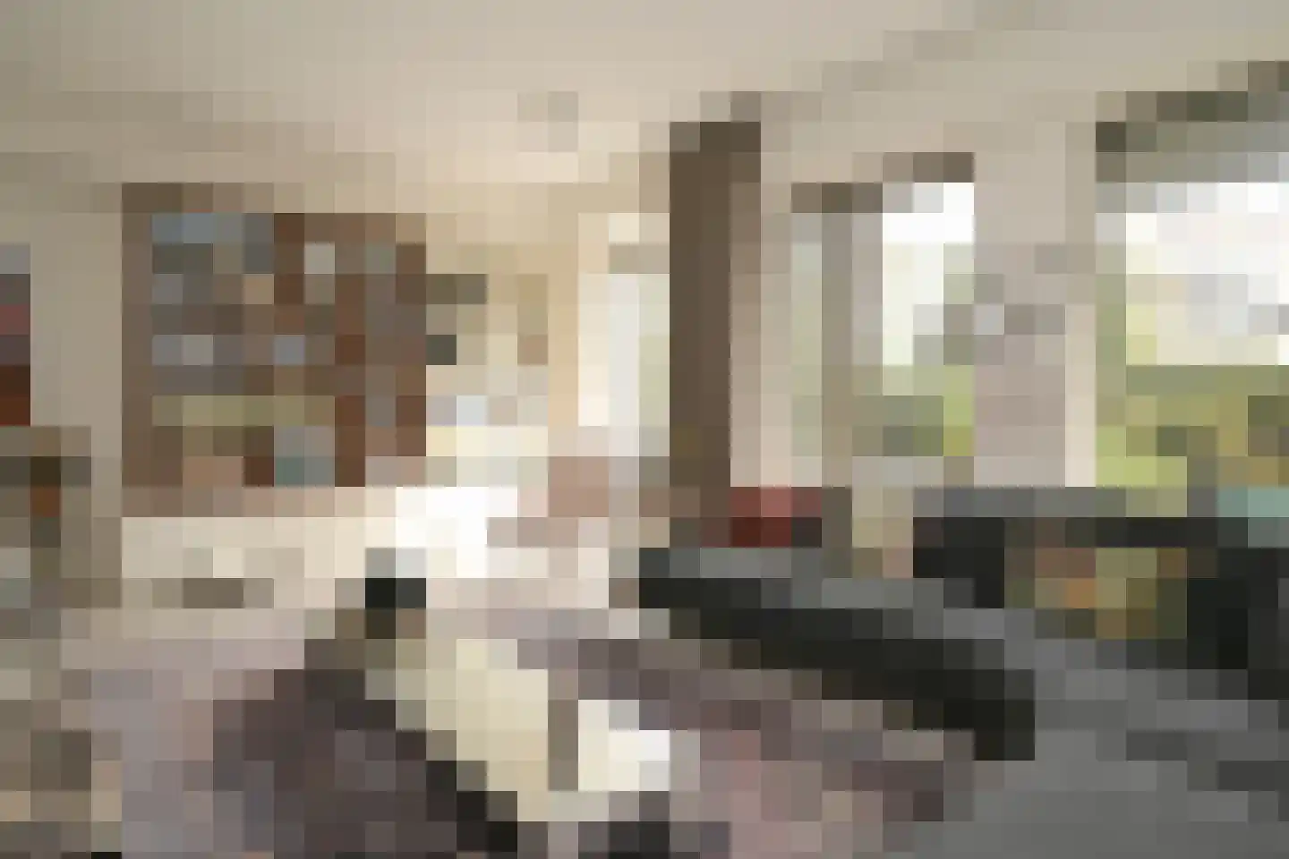 Stadhoudersplantsoen 22 Den Haag thumbnail 8