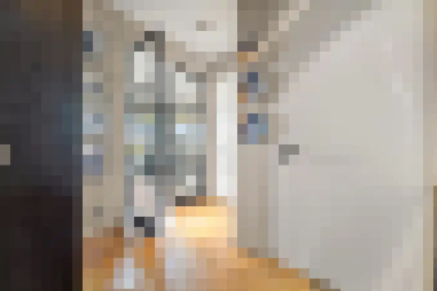 Stadhoudersplantsoen 22 V Den Haag thumbnail 11