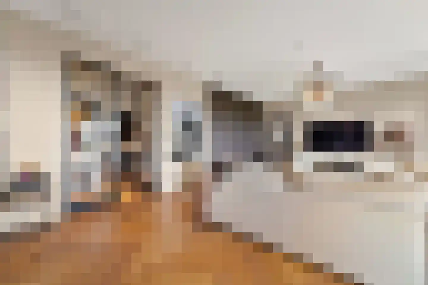 Stadhoudersplantsoen 22 V Den Haag thumbnail 13