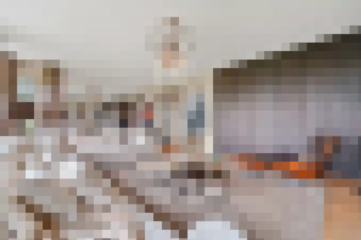 Stadhoudersplantsoen 22 V Den Haag thumbnail 14