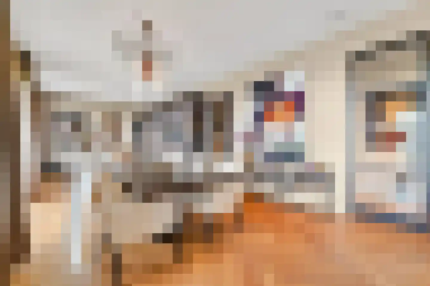 Stadhoudersplantsoen 22 V Den Haag thumbnail 17