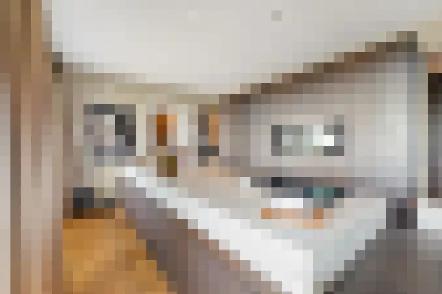 Stadhoudersplantsoen 22 V Den Haag thumbnail 19