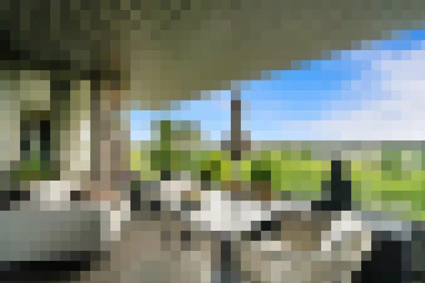 Stadhoudersplantsoen 22 V Den Haag thumbnail 20