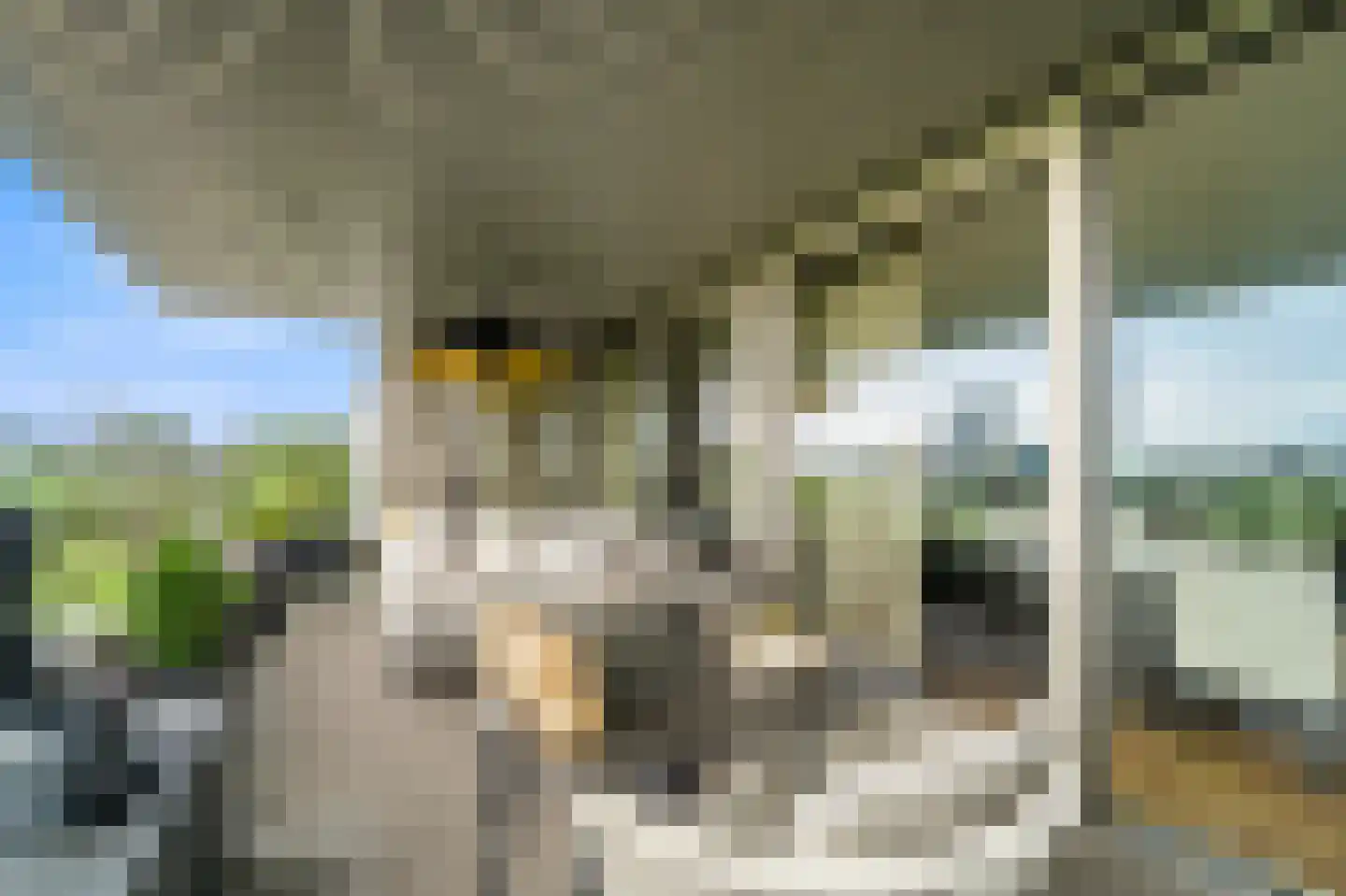 Stadhoudersplantsoen 22 V Den Haag thumbnail 21