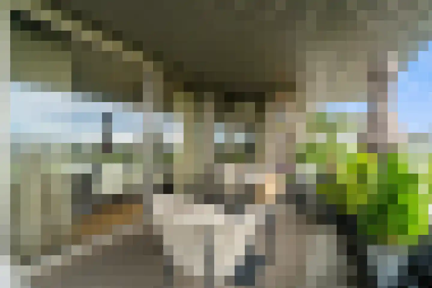 Stadhoudersplantsoen 22 V Den Haag thumbnail 22