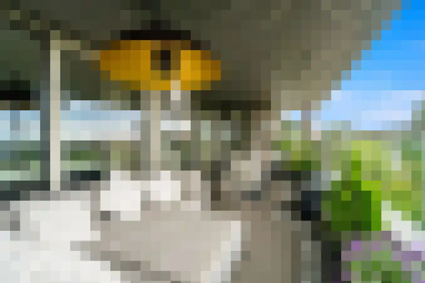Stadhoudersplantsoen 22 V Den Haag thumbnail 23