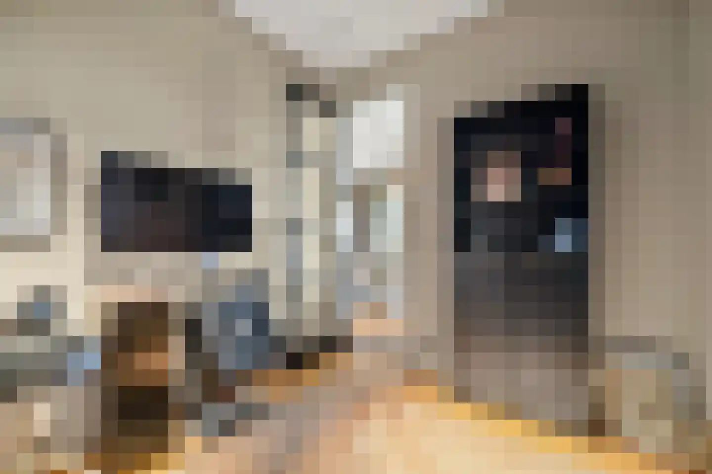 Stadhoudersplantsoen 22 V Den Haag thumbnail 25