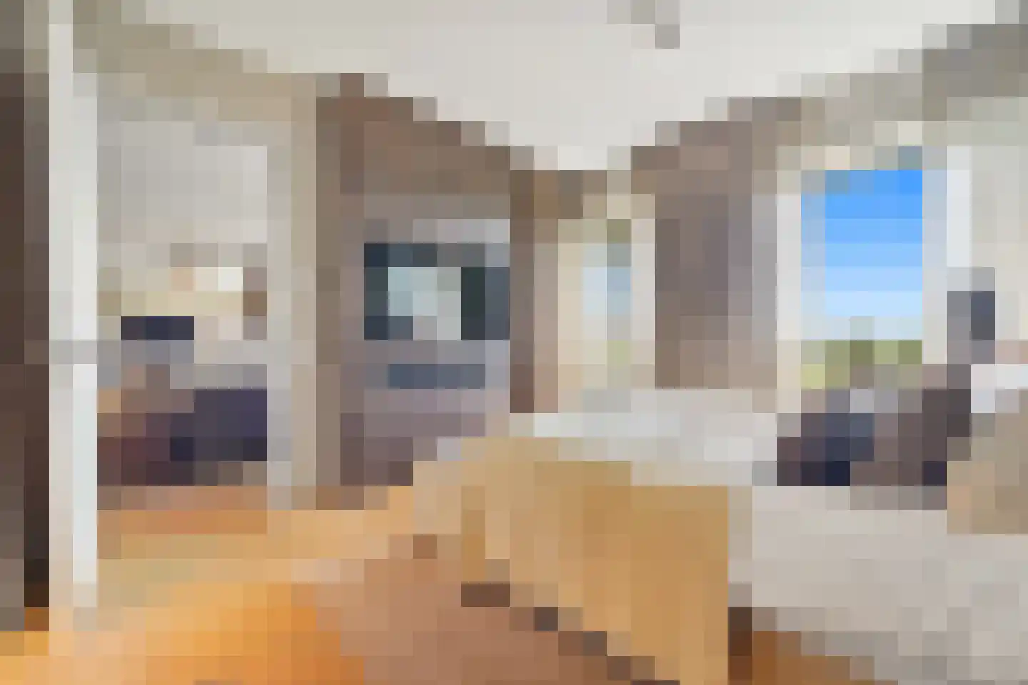 Stadhoudersplantsoen 22 V Den Haag thumbnail 28