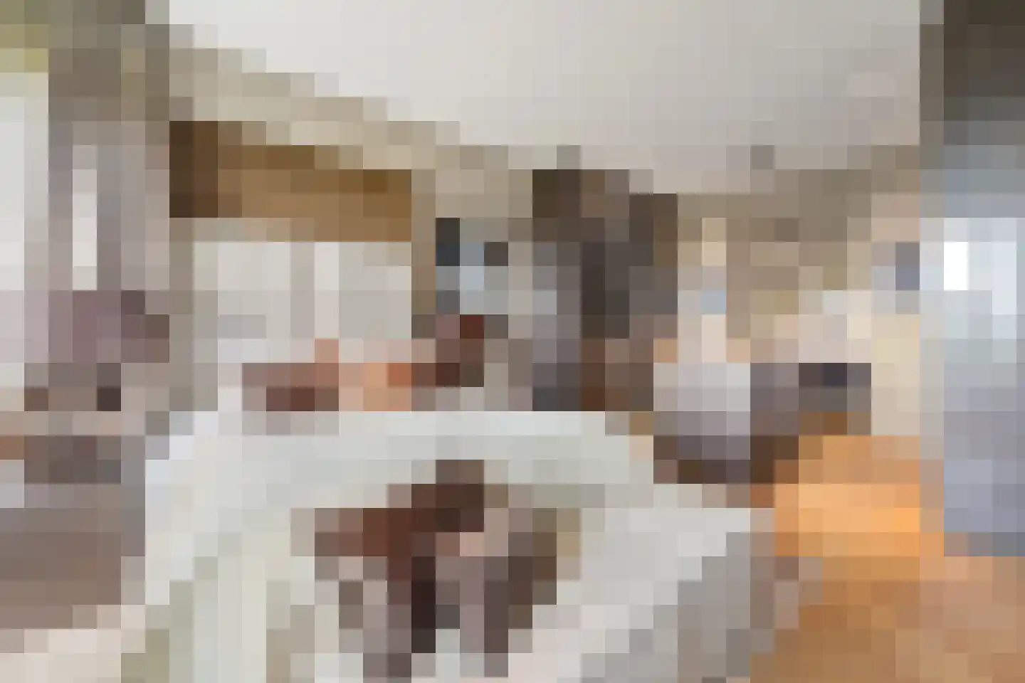 Stadhoudersplantsoen 22 V Den Haag thumbnail 30