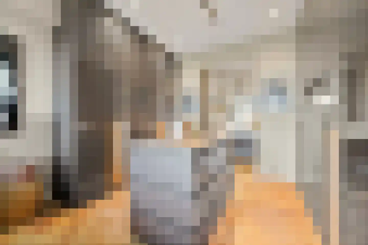 Stadhoudersplantsoen 22 V Den Haag thumbnail 31