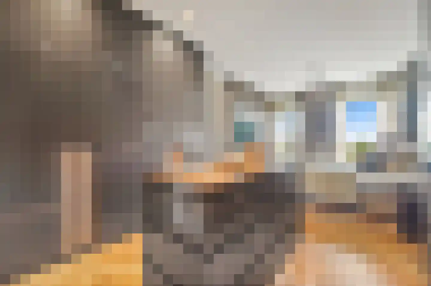 Stadhoudersplantsoen 22 V Den Haag thumbnail 32