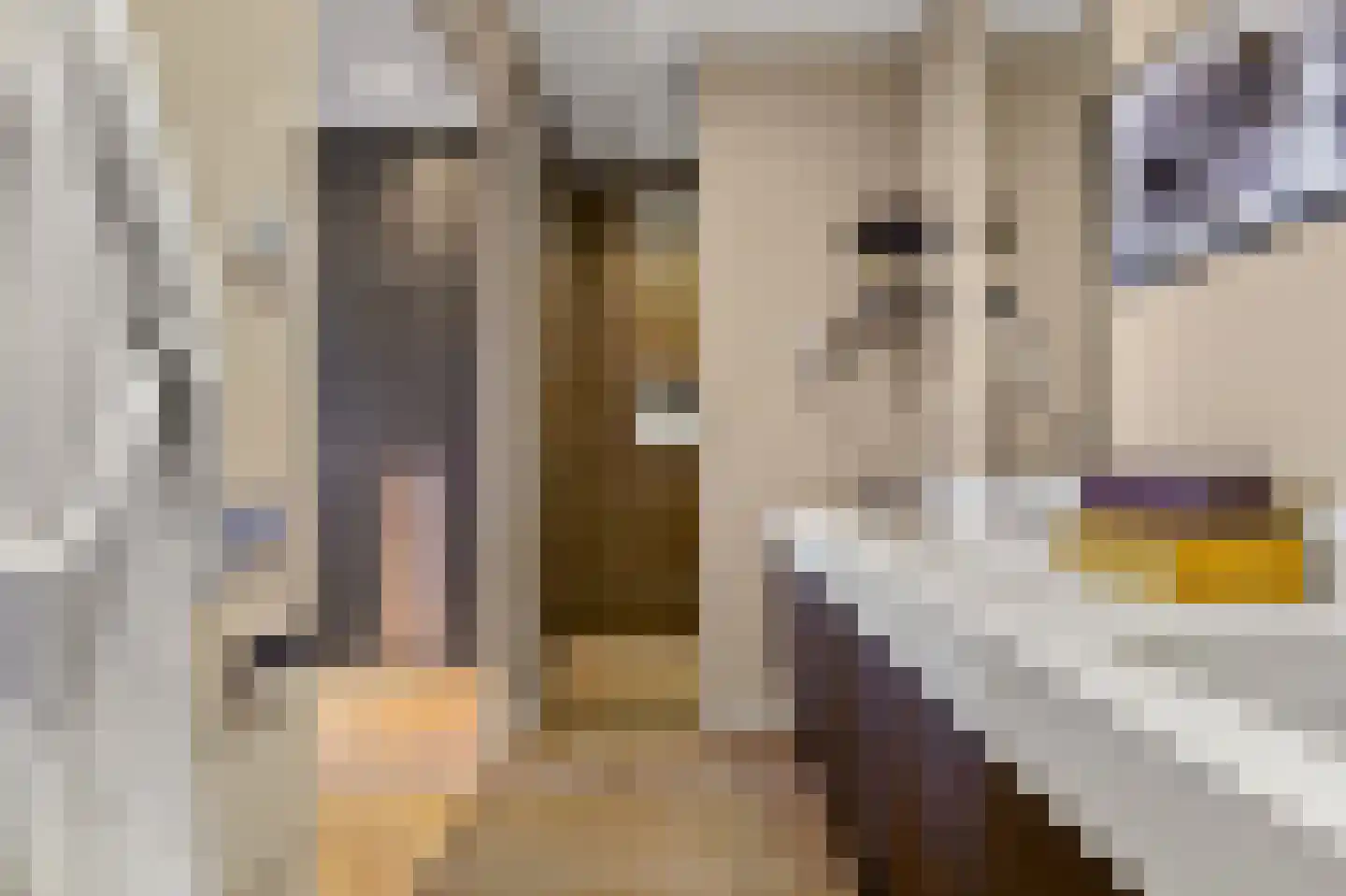Stadhoudersplantsoen 22 V Den Haag thumbnail 33