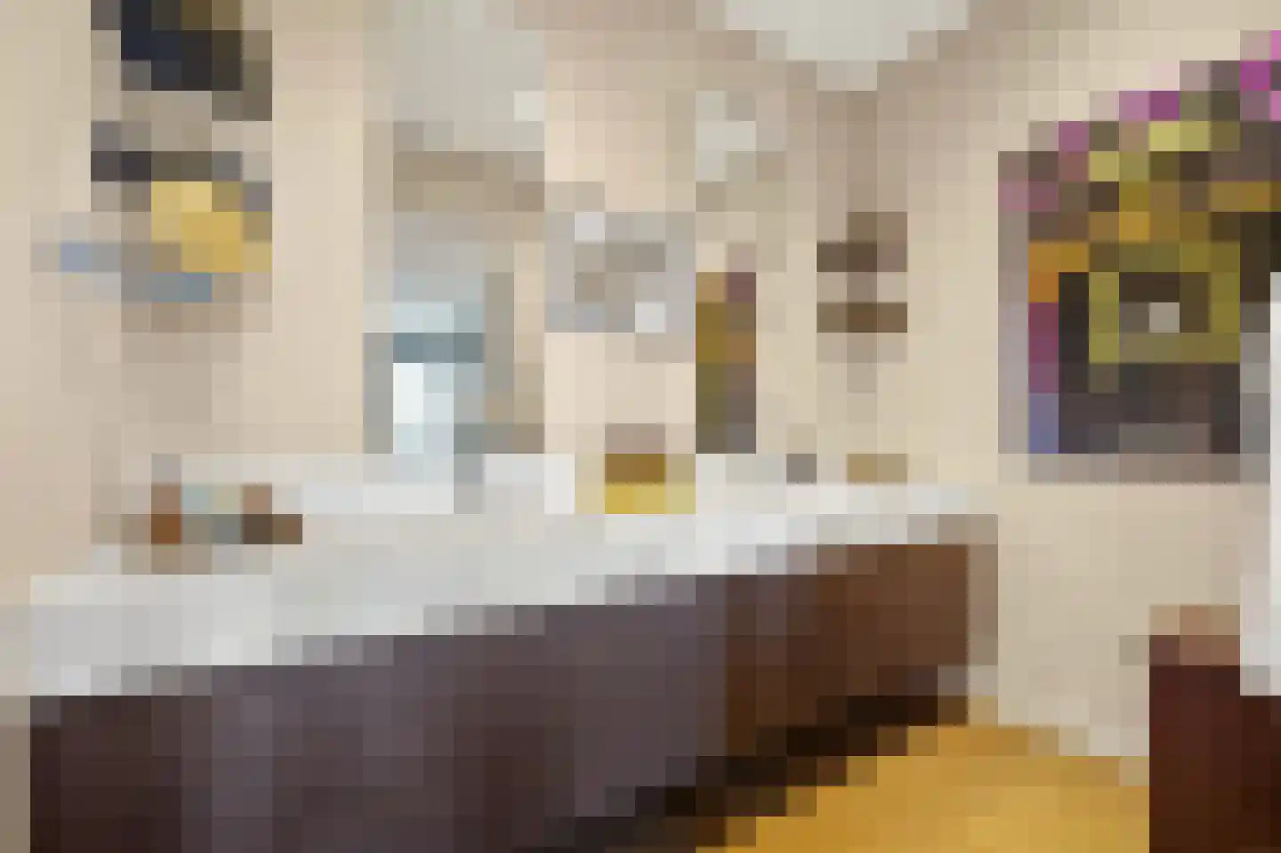 Stadhoudersplantsoen 22 V Den Haag thumbnail 34