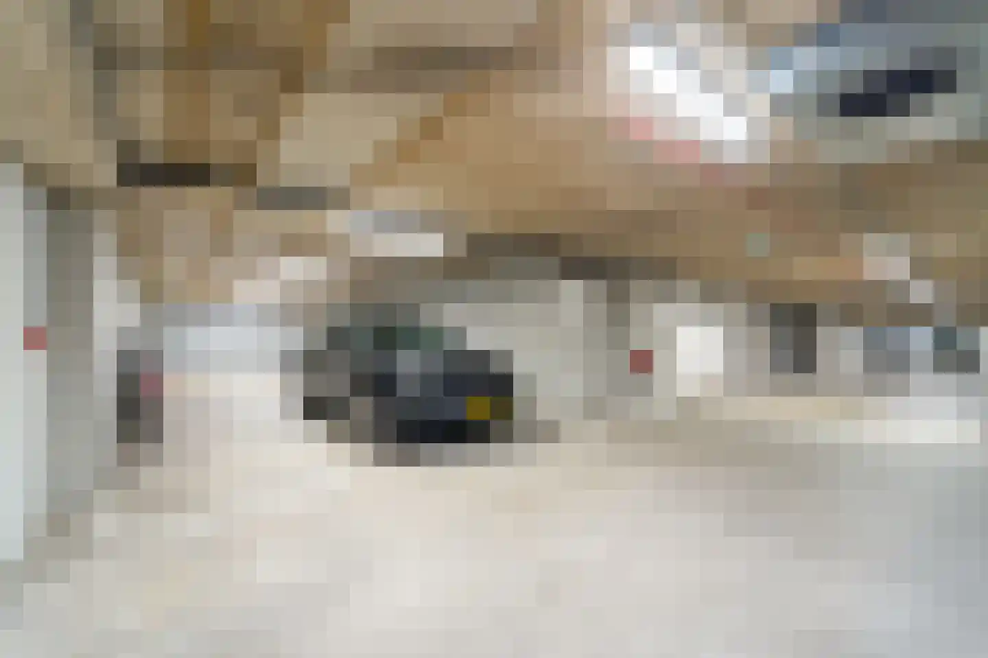 Stadhoudersplantsoen 22 V Den Haag thumbnail 36