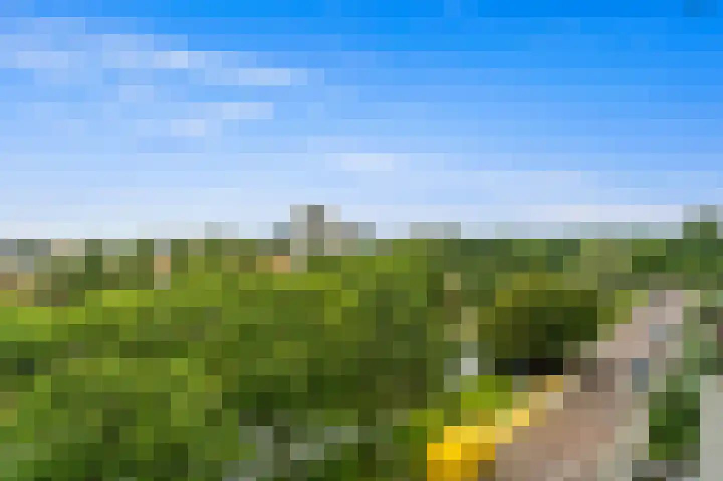 Stadhoudersplantsoen 22 V Den Haag thumbnail 39
