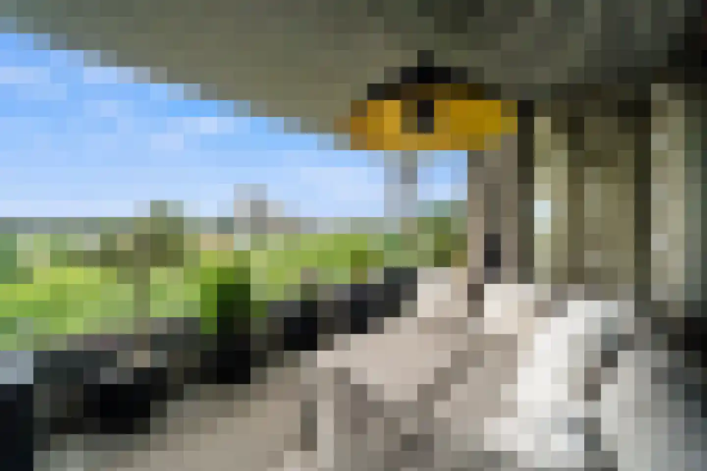 Stadhoudersplantsoen 22 V Den Haag thumbnail 4
