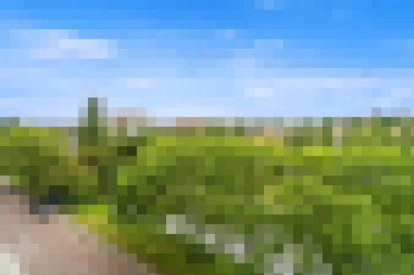 Stadhoudersplantsoen 22 V Den Haag thumbnail 40