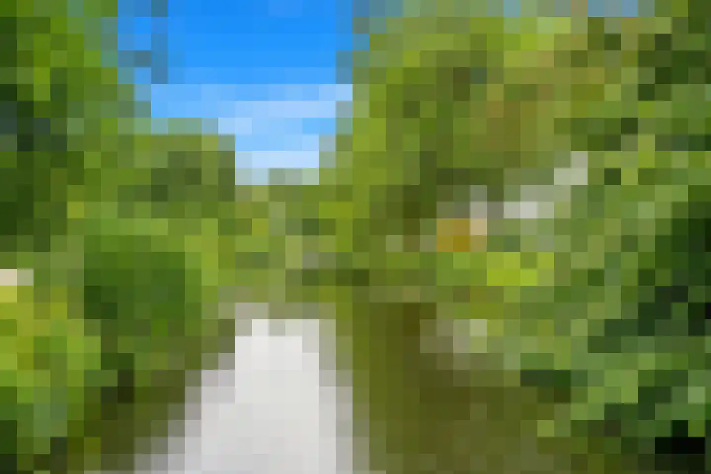 Stadhoudersplantsoen 22 V Den Haag thumbnail 41