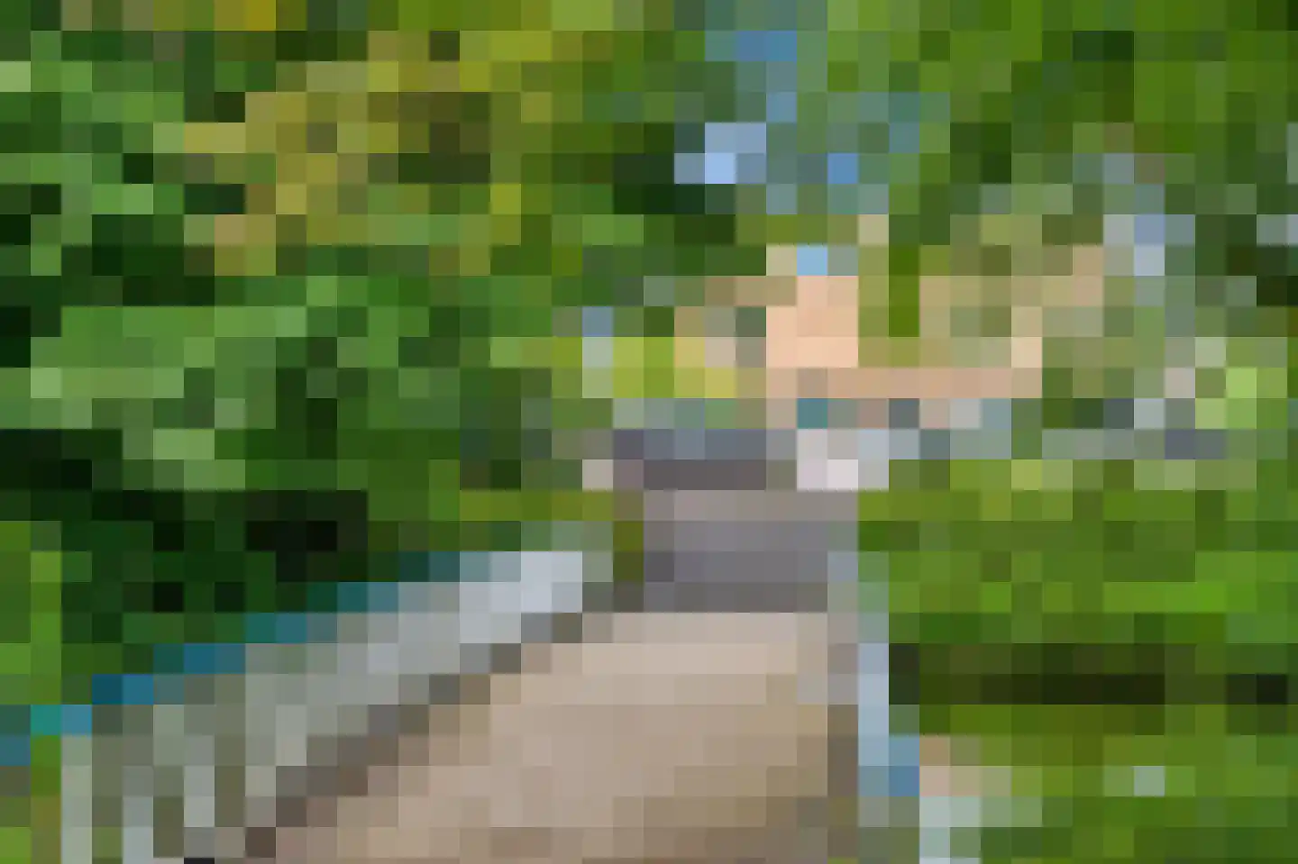 Stadhoudersplantsoen 22 V Den Haag thumbnail 43